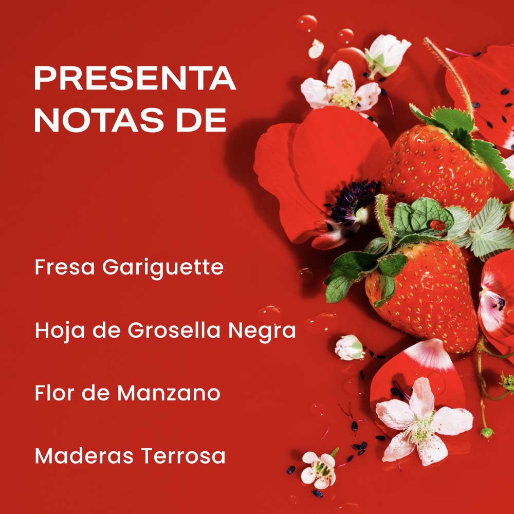 STRAWBERRY LETTER EAU DE PARFUM